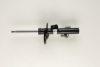 BILSTEIN 22-182869 Shock Absorber